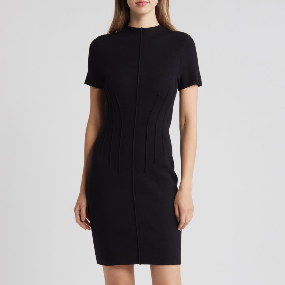 NEW Eliza J Pintuck Fitted Sheath Dress (size XS)